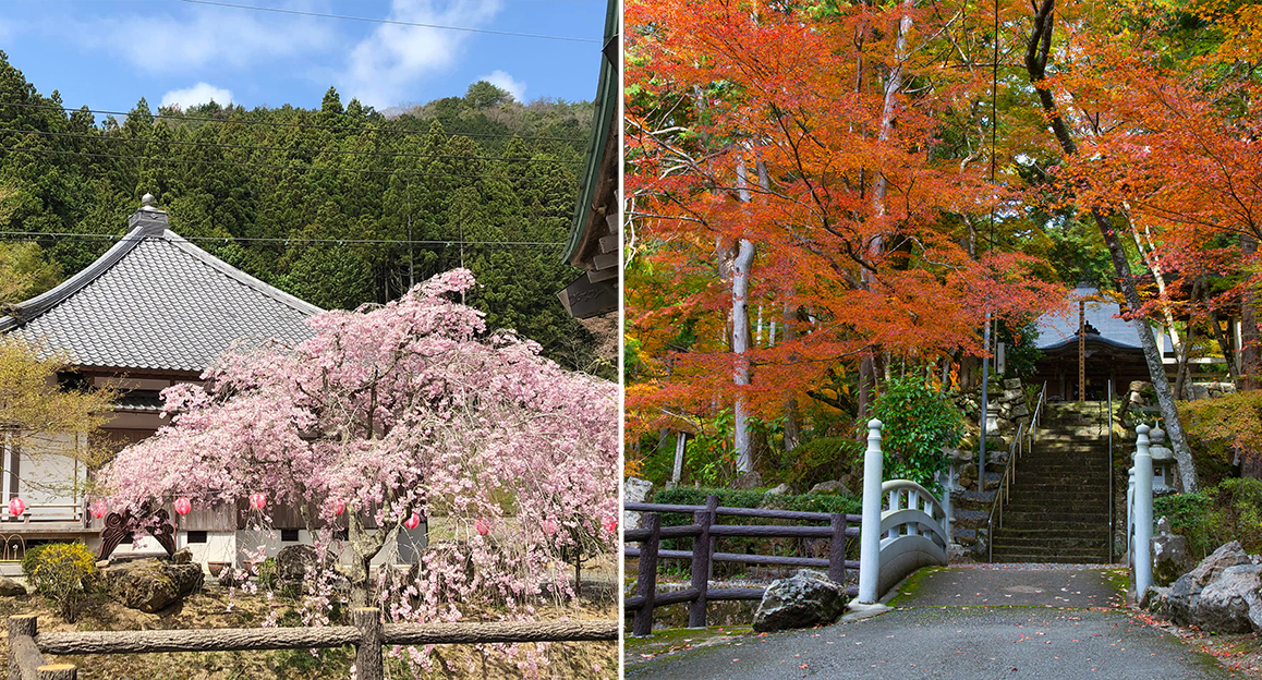 高蔵寺